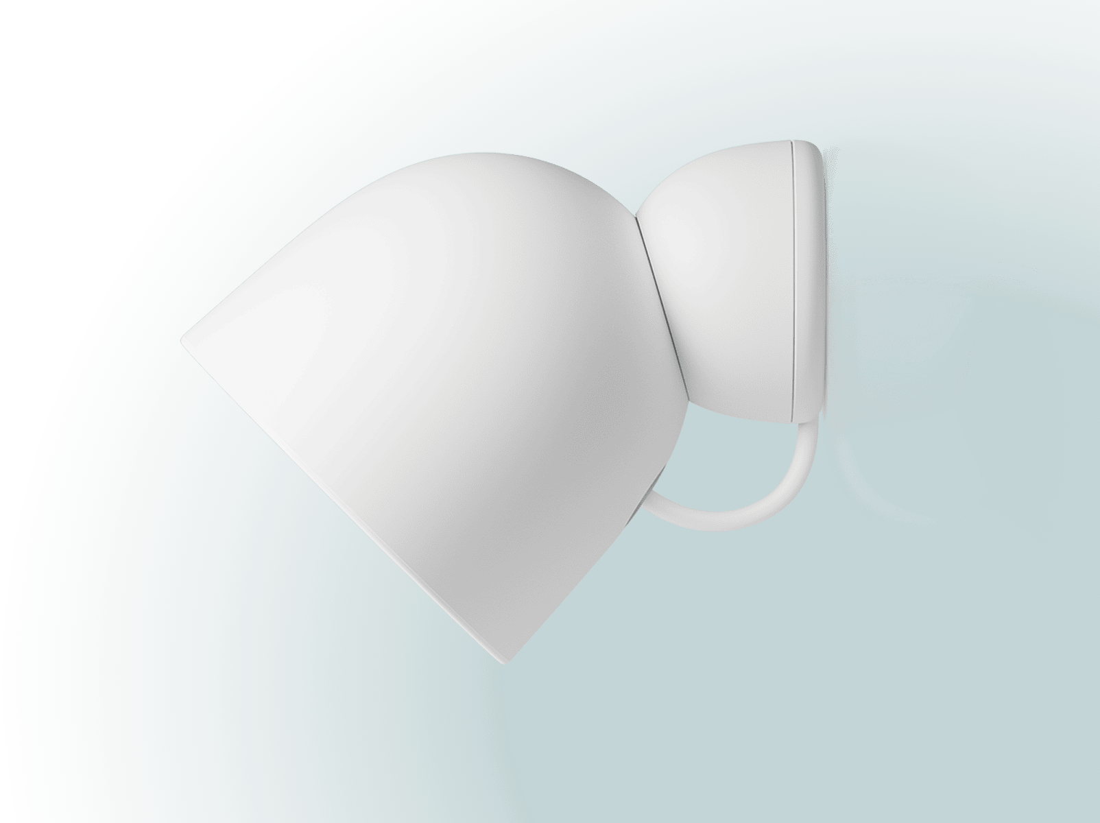 Google Nest Cam view 4